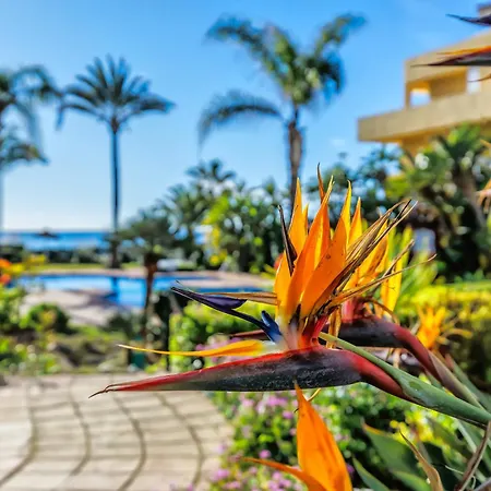 Luxury Duplex Sea Views La Cala * La Cala De Mijas